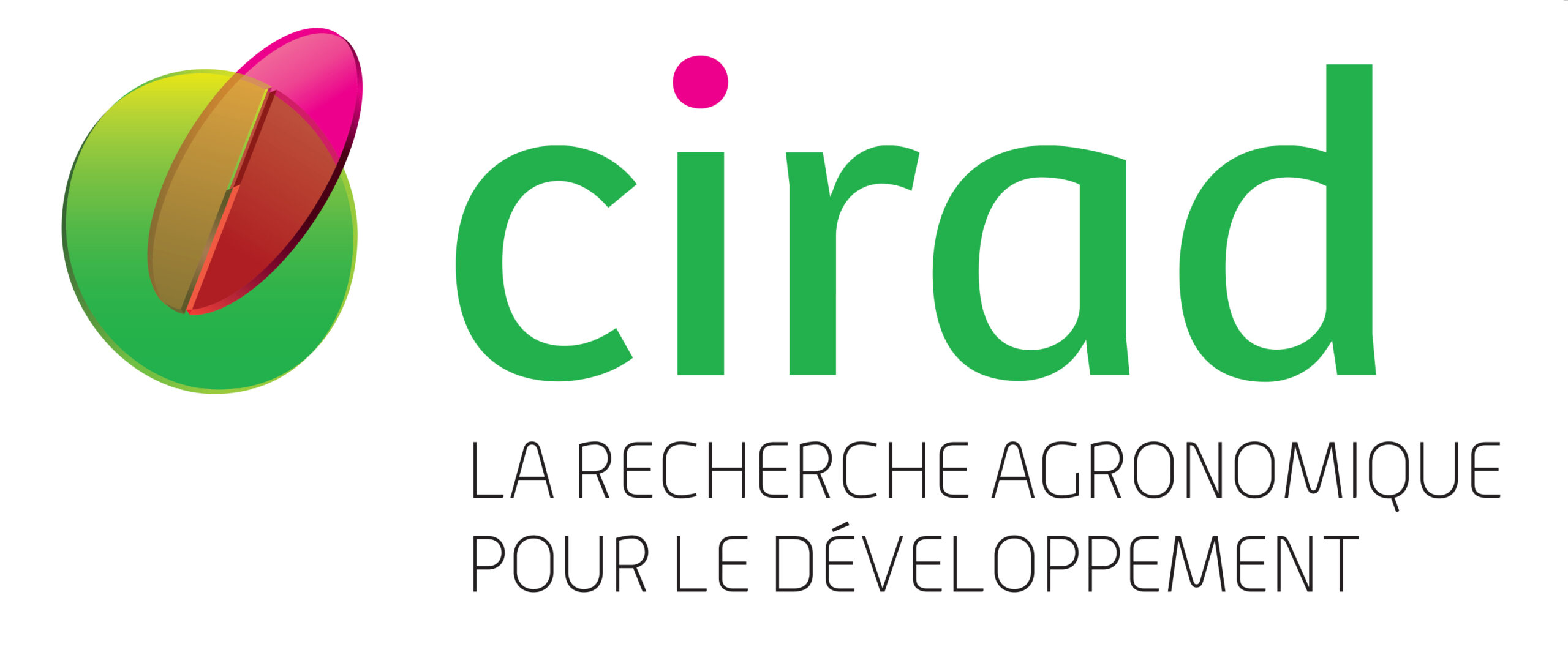 You are currently viewing Le CIRAD organise un atelier de formation dans le cadre du projet Territoire Durable!